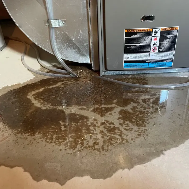 Pipe Burst and Leak Restoration in Tiverton, RI