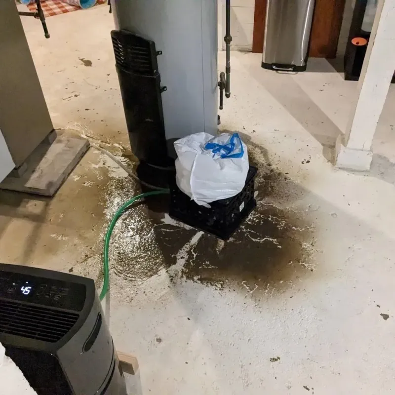 Sewage Backup Cleanup Service in Tiverton, RI